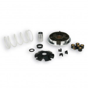 Variatore Multivar Malossi...