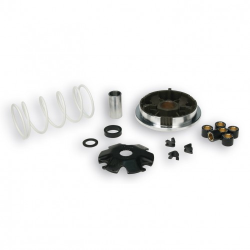 Variatore Multivar Malossi 5111561