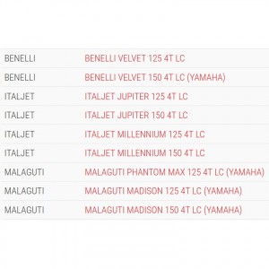 Variatore Malossi Multivar... 2