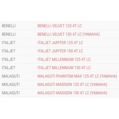 Variatore Malossi Multivar 2000 per...