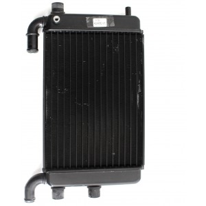 Radiatore acqua Malaguti... 2