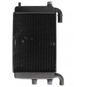 Radiatore acqua Malaguti...