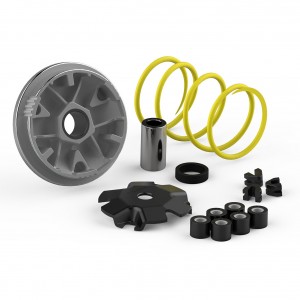 Variatore Malossi Multivar...