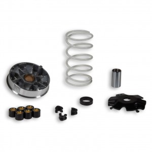 Variatore Malossi Multivar...