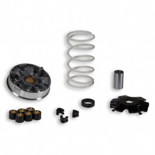 Variatore Malossi Multivar 517484