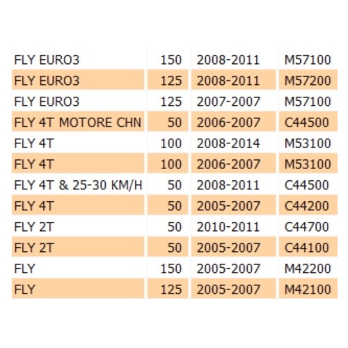 Faro posteriore Piaggio Fly