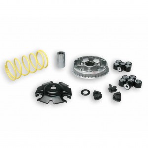 Variatore Multivar Malossi...