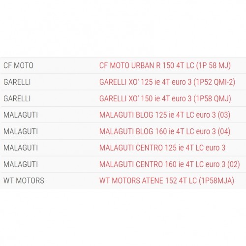 Variatore Multivar 2000 Malossi...