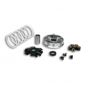 Variatore Multivar Malossi...