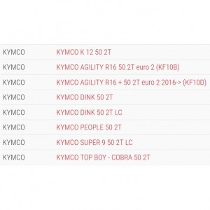 Variatore Multivar Malossi... 2