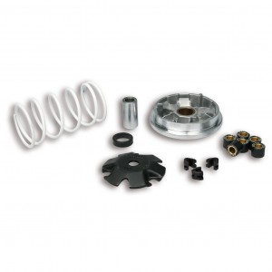 Variatore Multivar Malossi...