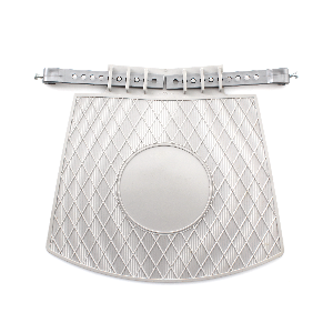 Paraspruzzi posteriore al...