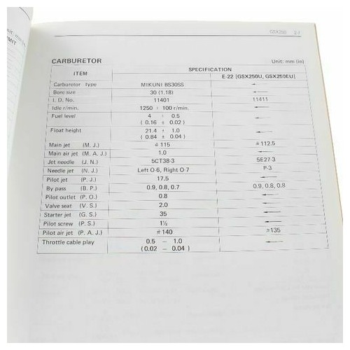 Dati di servizio Suzuki GS 250 1000 e...