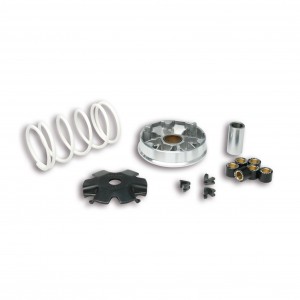 Variatore Multivar Malossi...