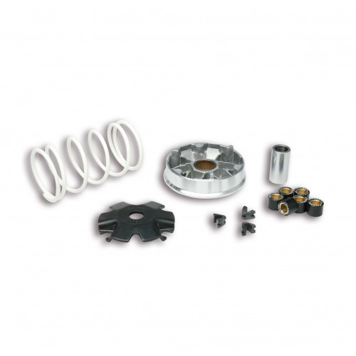 Variatore Multivar Malossi 5113139...