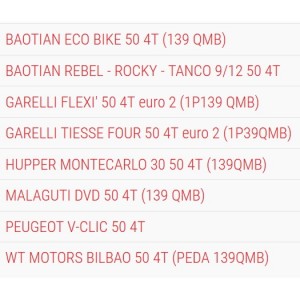 Variatore Multivar Malossi... 2