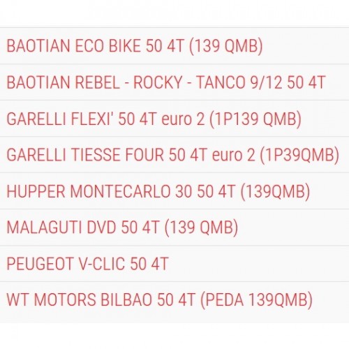 Variatore Multivar Malossi 5113139...