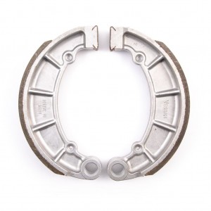 Coppia ceppi freno...