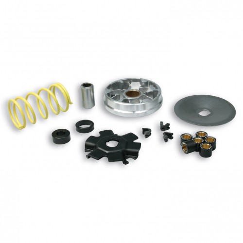 Variatore Multivar Malossi 513863...