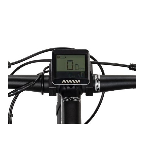 Bicicletta Elettrica Aster Hybrid