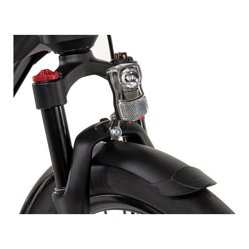 Bicicletta Elettrica Aster Hybrid