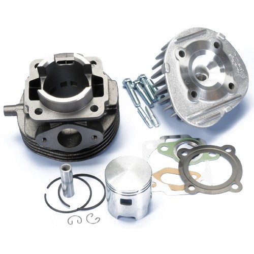 Gruppo termico 47 mm Polini 1400053...