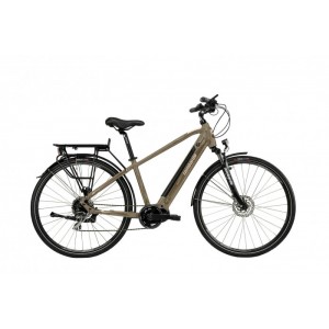 Bicicletta elettrica... 2