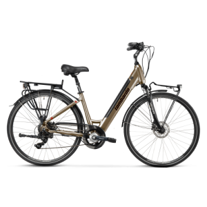 Bicicletta elettrica... 2