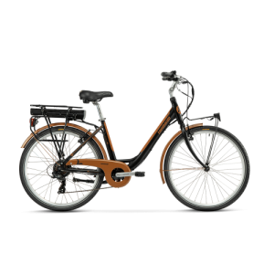 Bicicleta elettrica...