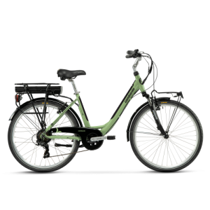 Bicicletta Elettrica...