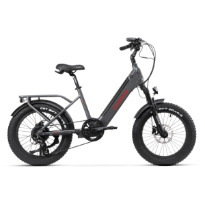 Bicicletta elettrica...