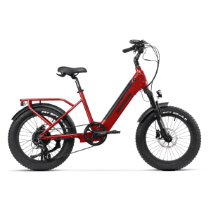 Bicicletta elettrica... 2