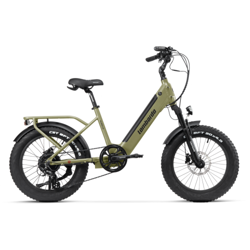 Bicicletta elettrica Lombardo Aurelia...