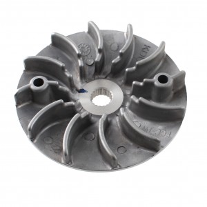 Puleggia anteriore fissa...