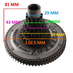 Albero primario 12 16 20 25... 2