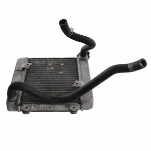 Radiatore acqua Honda...