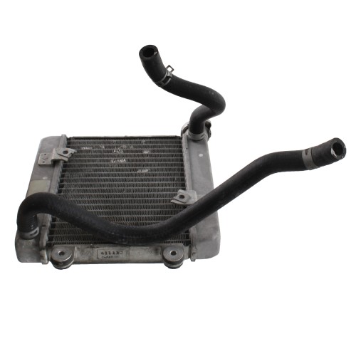 Radiatore acqua Honda Pantheon 4 tempi