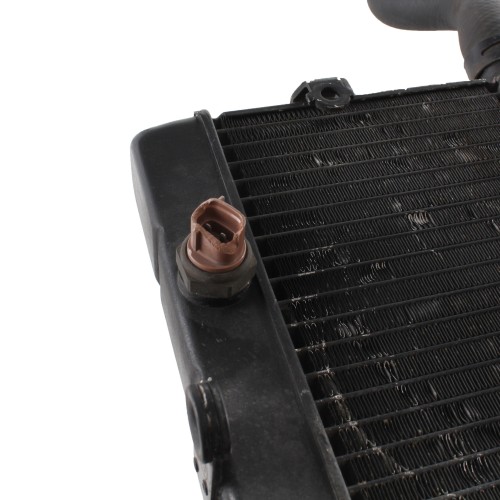 Radiatore acqua Yamaha Majesty