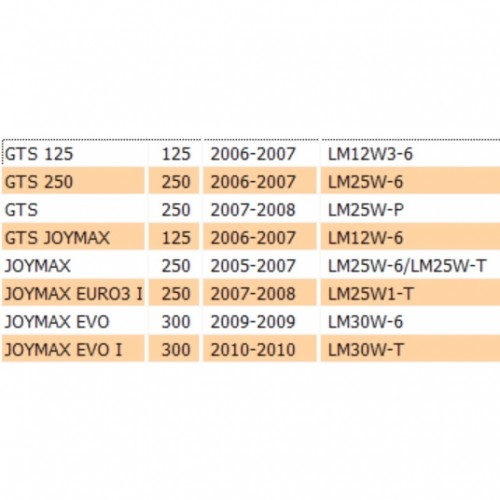 Staffa luce targa Sym GTS Joymax