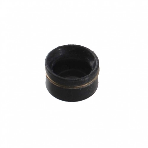 Paraolio guidavalvola Aprilia RS AF1...