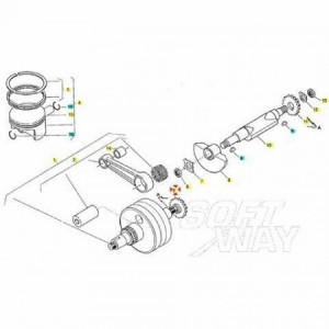 Ingranaggio conduttore... 2