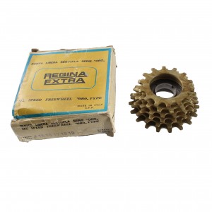 Ruota libera ciclo Regina...