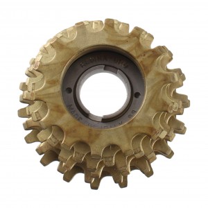 Ruota libera ciclo Regina... 2