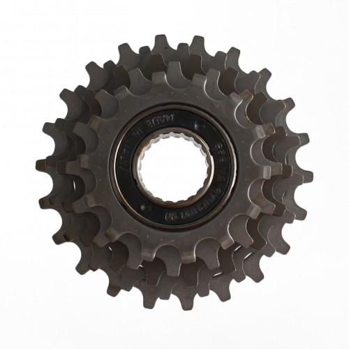 Ruota libera Regina 5V 14-22 ciclo