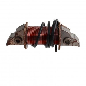 Bobina luce Dansi...