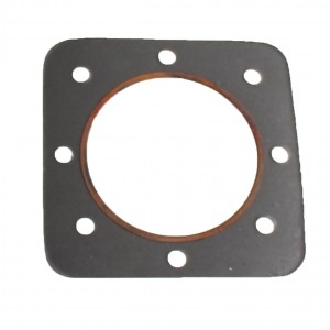 Guarnizione testa cilindro...