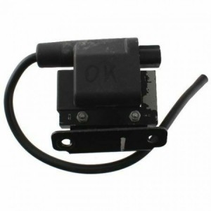 Bobina accensione Piaggio...