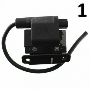 Bobina accensione Piaggio... 2