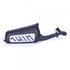 Scarico Sito 0261 Piaggio Free