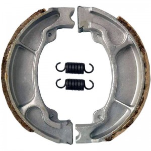 Coppia ceppi freno...